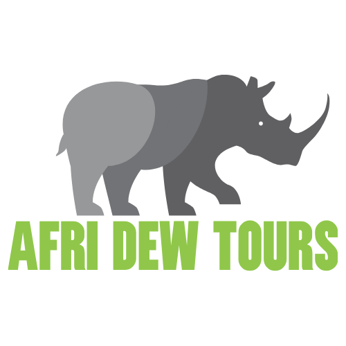 Afri Dew Tours